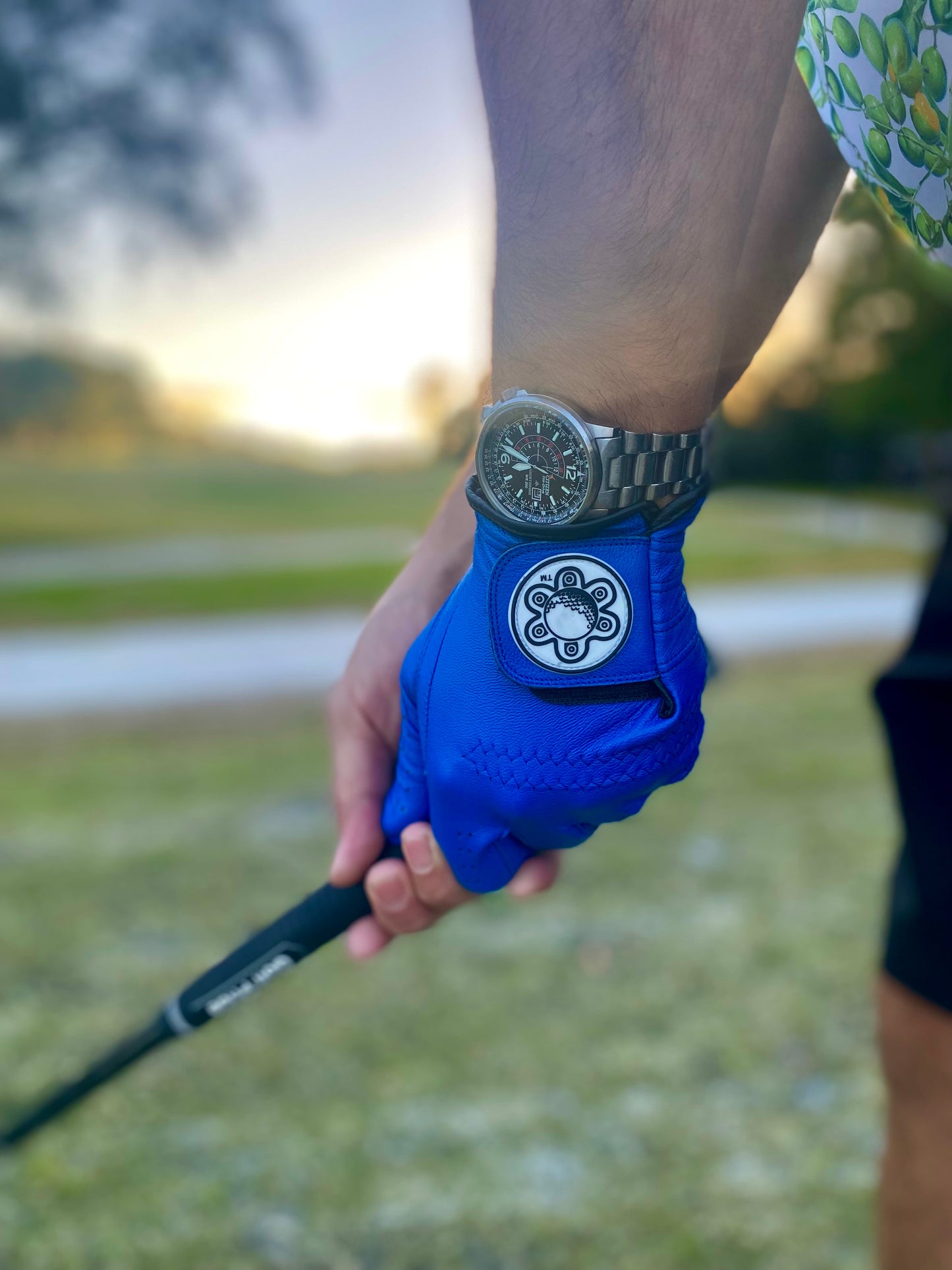 Leather Golf Glove