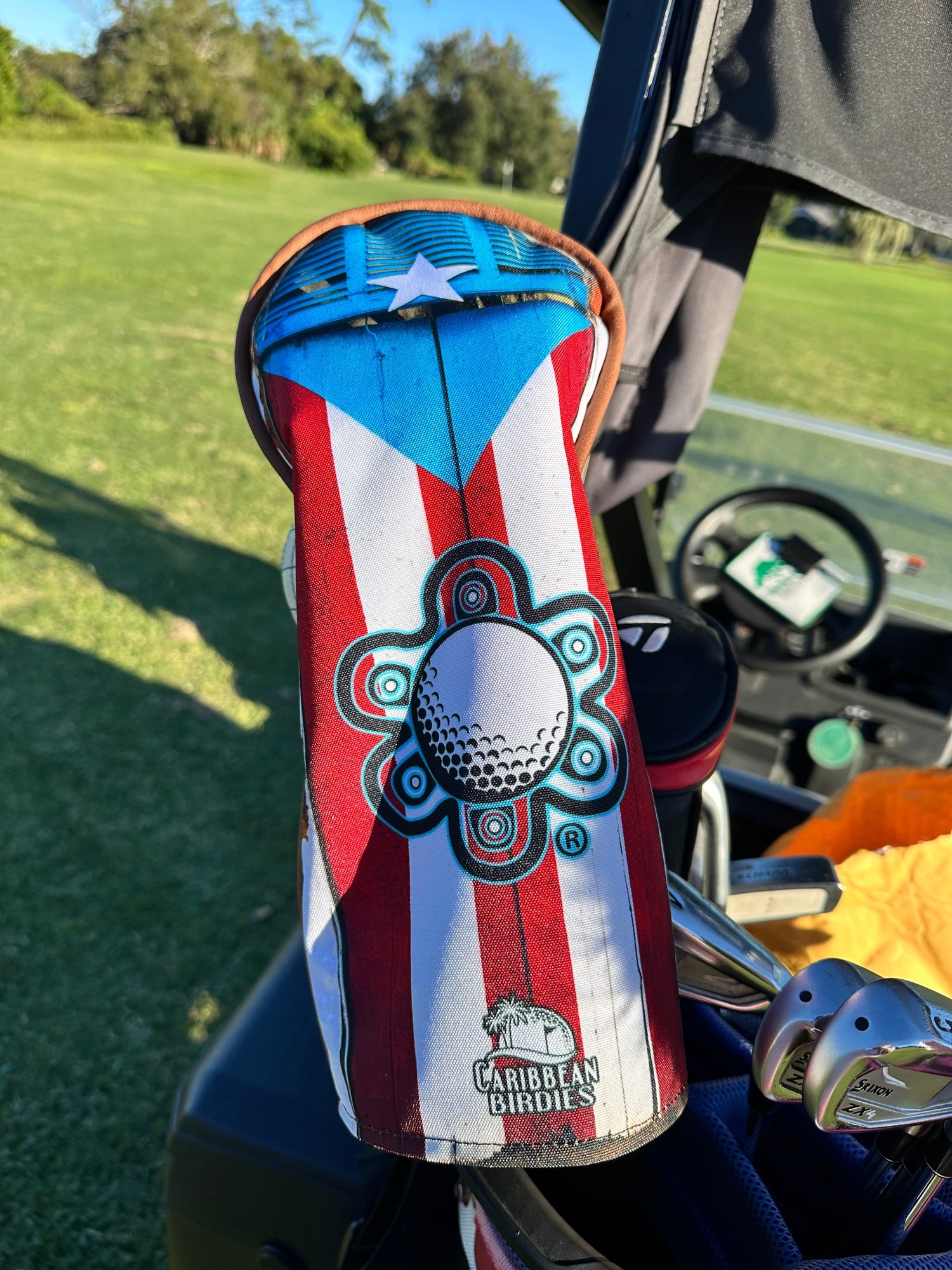 Head Covers